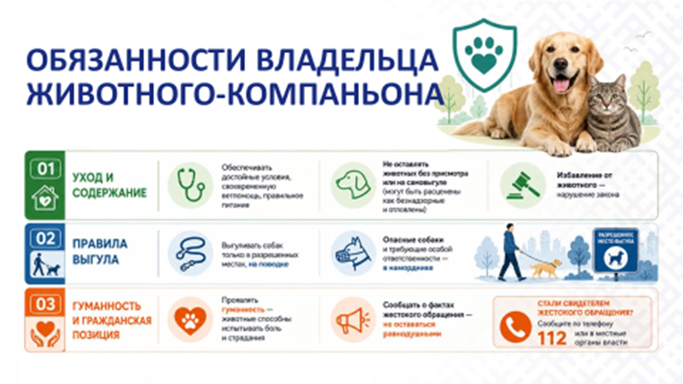 den_inf_082026_13.png