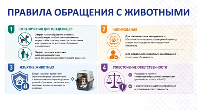 den_inf_082026_11.png