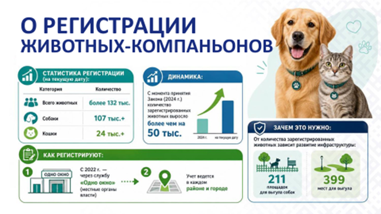 den_inf_082026_10.png