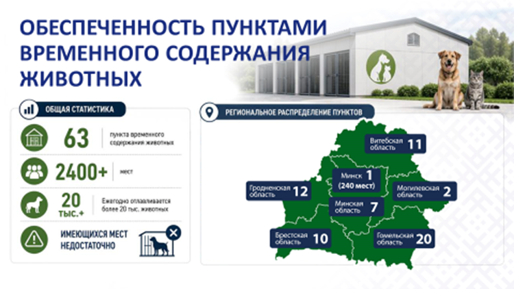 den_inf_082026_12.png