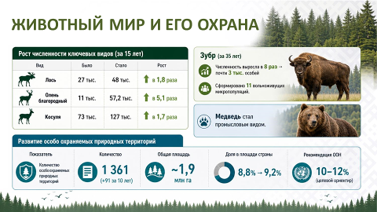 den_inf_082026_3.png den_inf_082026_3.png